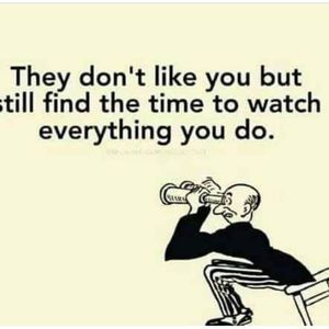 Meet your Posher, Gisa